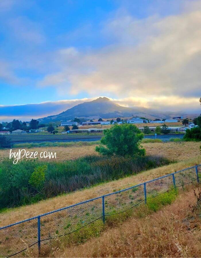 cali coast road trip scenic view- itinerary