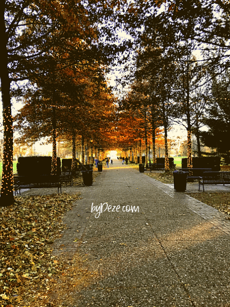 vander veer park in the autumn things to do in davenport