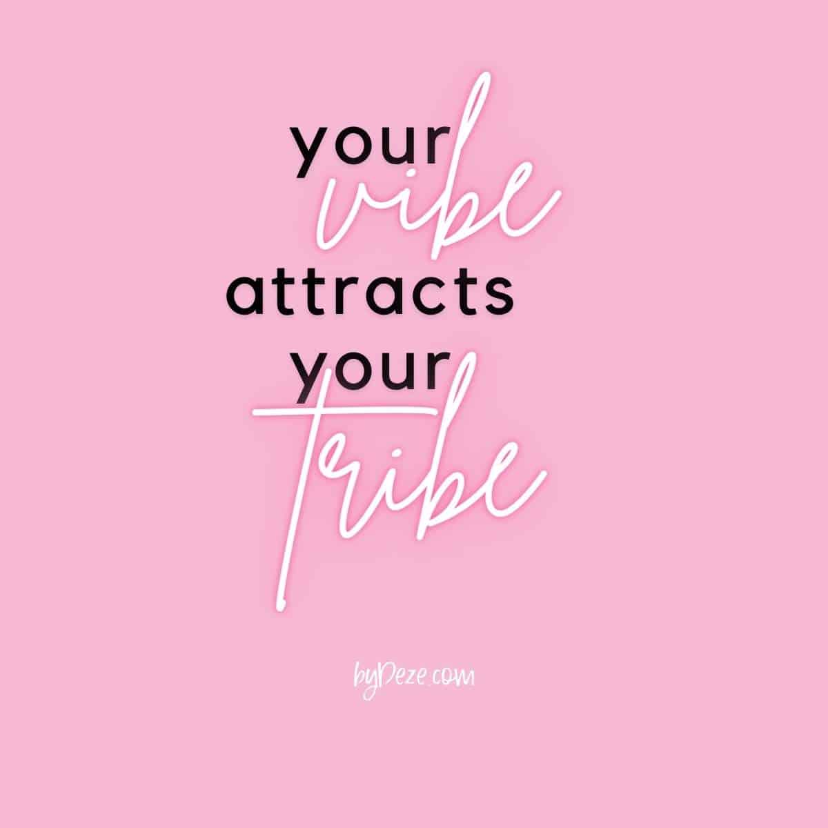 quote your vibe attracts your tribe