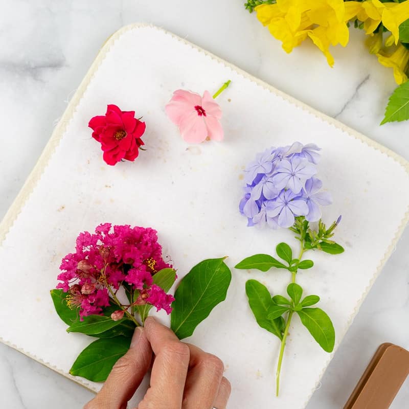 Image for Press and Preserve Flowers Within Your Journal