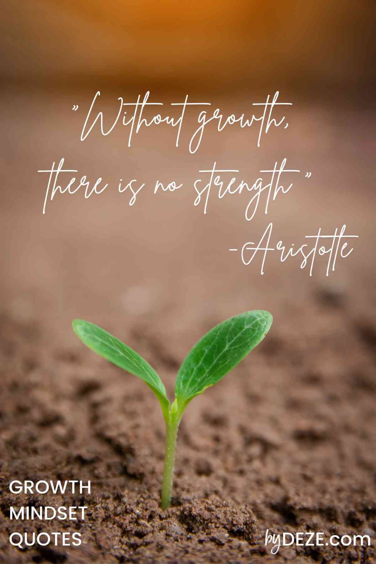growth quote